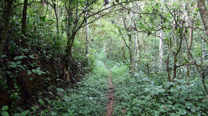 Mudança de Ambiente